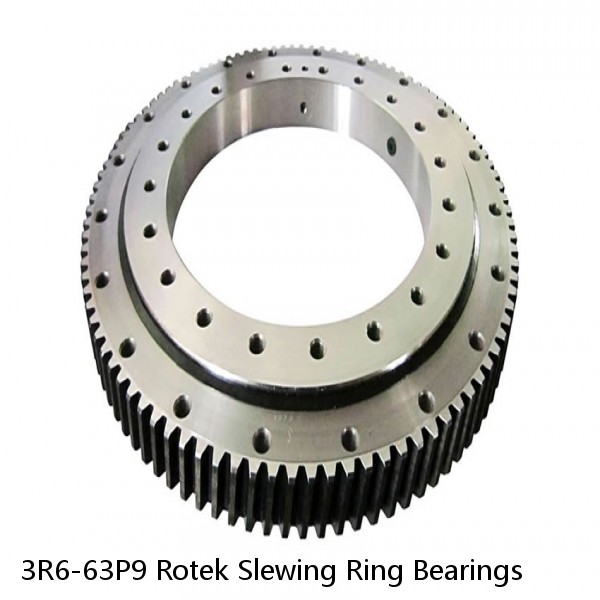 3R6-63P9 Rotek Slewing Ring Bearings