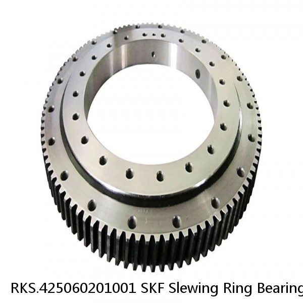 RKS.425060201001 SKF Slewing Ring Bearings
