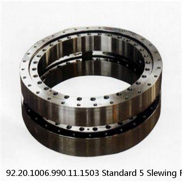 92.20.1006.990.11.1503 Standard 5 Slewing Ring Bearings