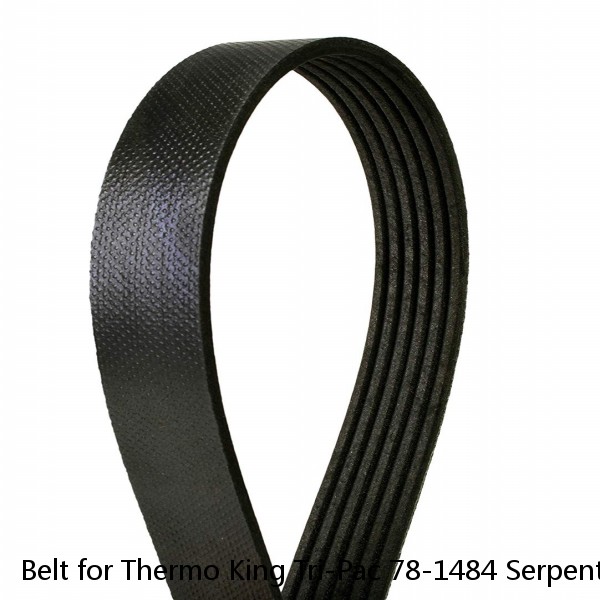 Belt for Thermo King Tri-Pac 78-1484 Serpentine Belt 6 Rib TK APU Tripac 781484