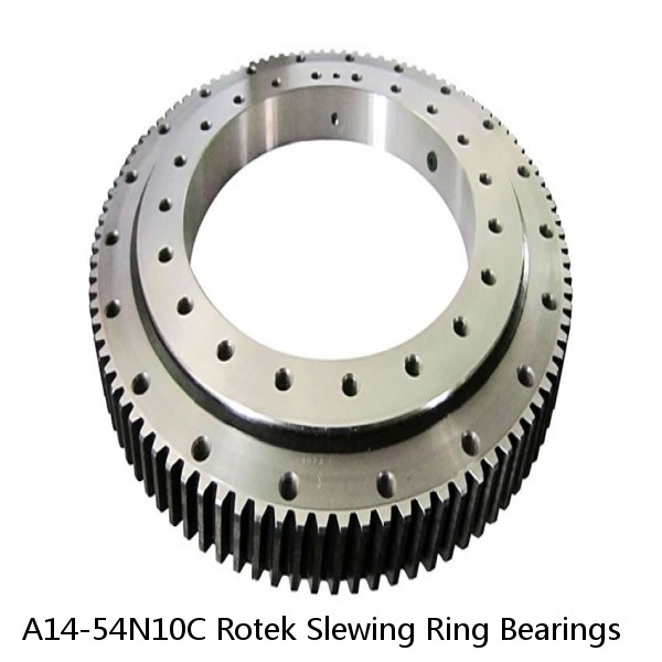 A14-54N10C Rotek Slewing Ring Bearings