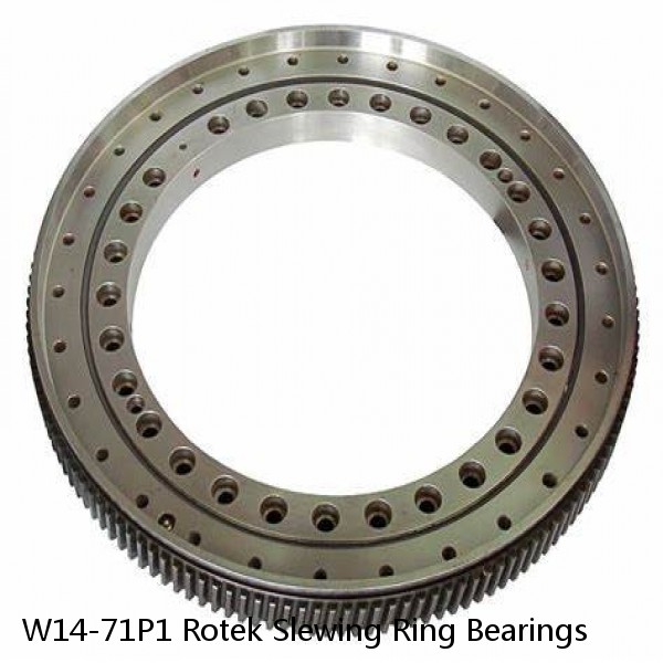 W14-71P1 Rotek Slewing Ring Bearings