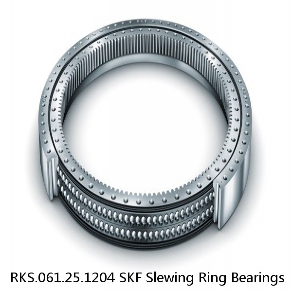 RKS.061.25.1204 SKF Slewing Ring Bearings