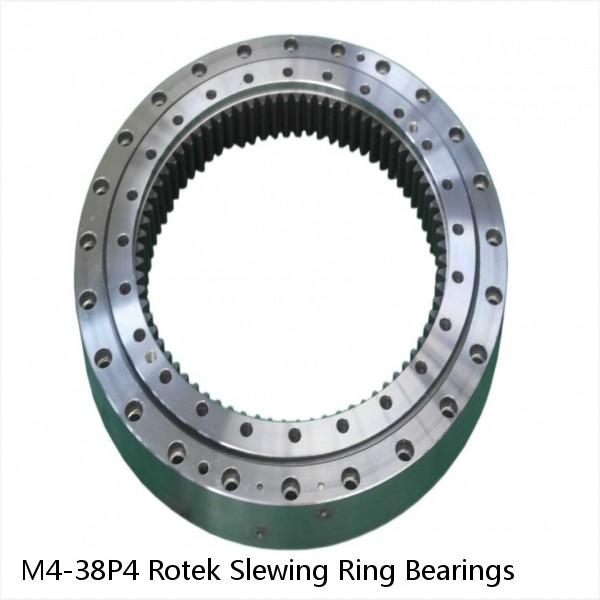 M4-38P4 Rotek Slewing Ring Bearings