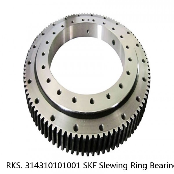 RKS. 314310101001 SKF Slewing Ring Bearings