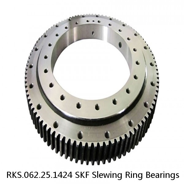 RKS.062.25.1424 SKF Slewing Ring Bearings