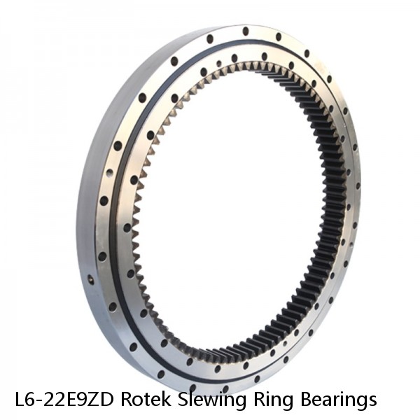 L6-22E9ZD Rotek Slewing Ring Bearings