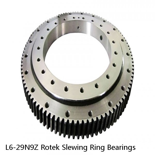L6-29N9Z Rotek Slewing Ring Bearings