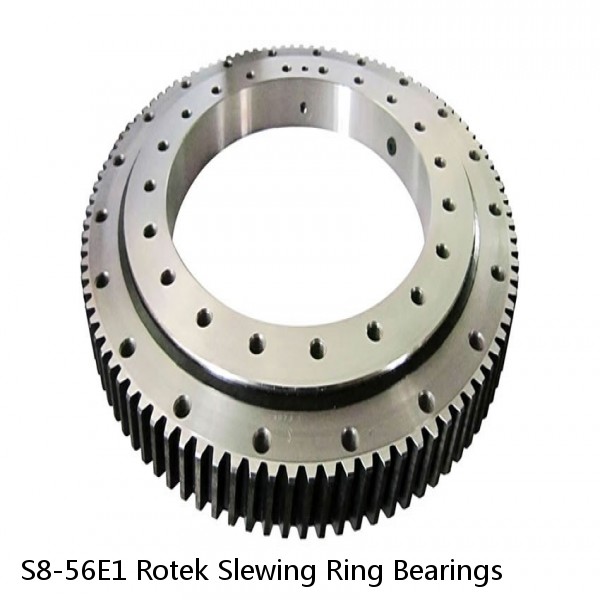 S8-56E1 Rotek Slewing Ring Bearings