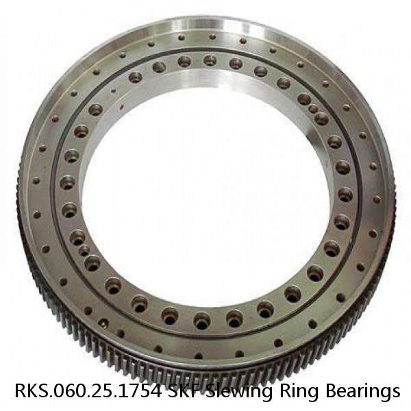 RKS.060.25.1754 SKF Slewing Ring Bearings