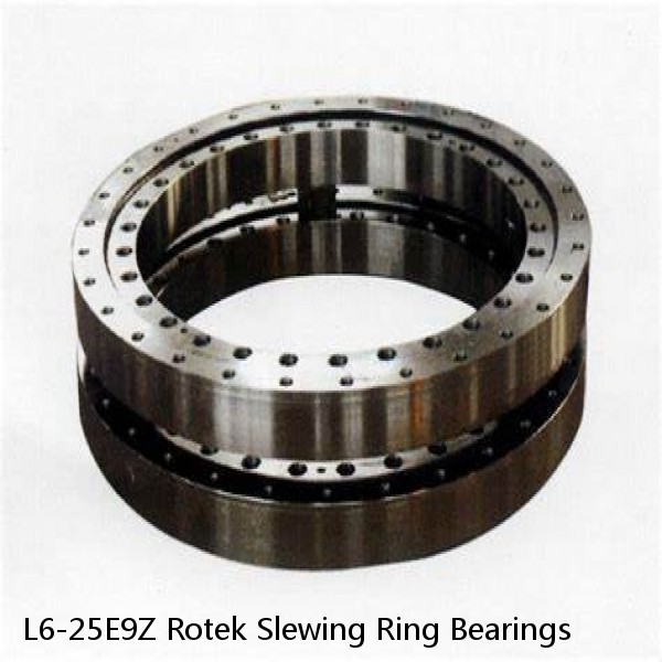 L6-25E9Z Rotek Slewing Ring Bearings