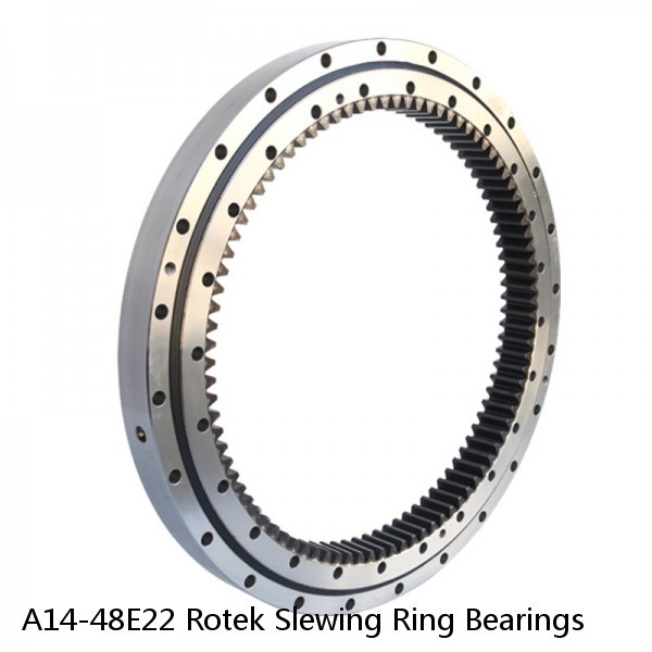 A14-48E22 Rotek Slewing Ring Bearings