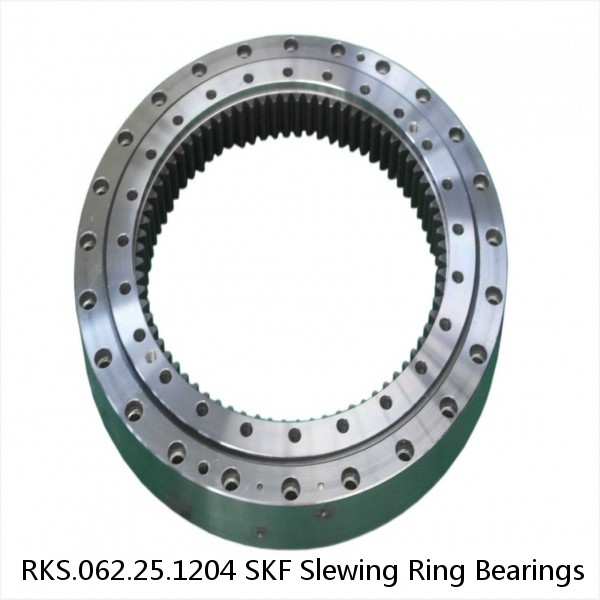 RKS.062.25.1204 SKF Slewing Ring Bearings