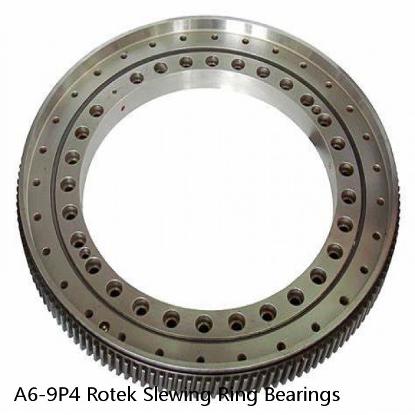 A6-9P4 Rotek Slewing Ring Bearings