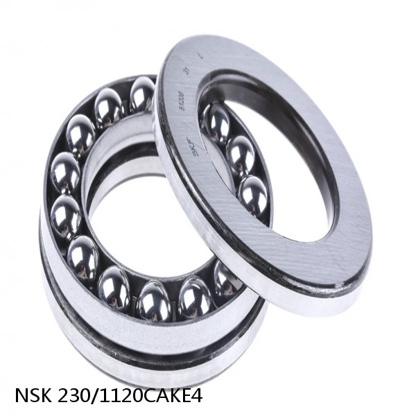 230/1120CAKE4 NSK Spherical Roller Bearing