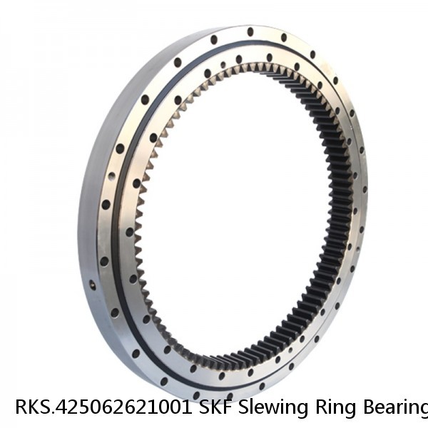 RKS.425062621001 SKF Slewing Ring Bearings