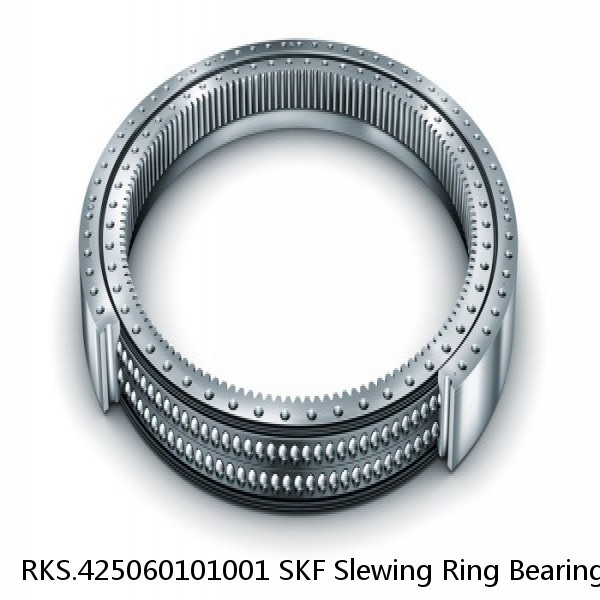 RKS.425060101001 SKF Slewing Ring Bearings