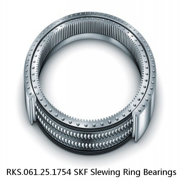 RKS.061.25.1754 SKF Slewing Ring Bearings