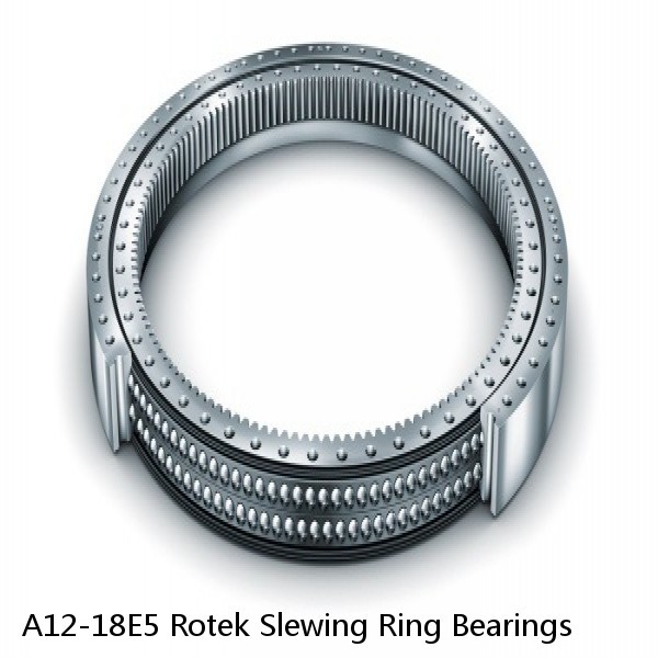 A12-18E5 Rotek Slewing Ring Bearings