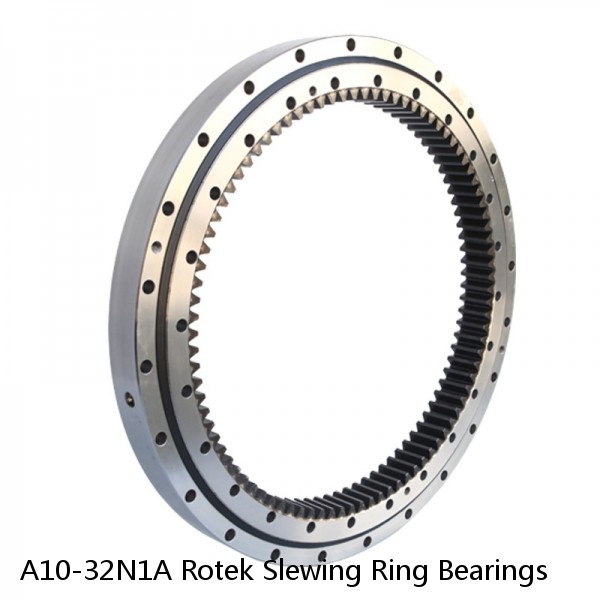A10-32N1A Rotek Slewing Ring Bearings