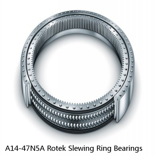 A14-47N5A Rotek Slewing Ring Bearings