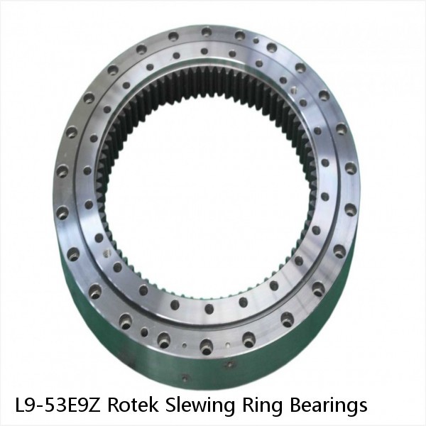 L9-53E9Z Rotek Slewing Ring Bearings