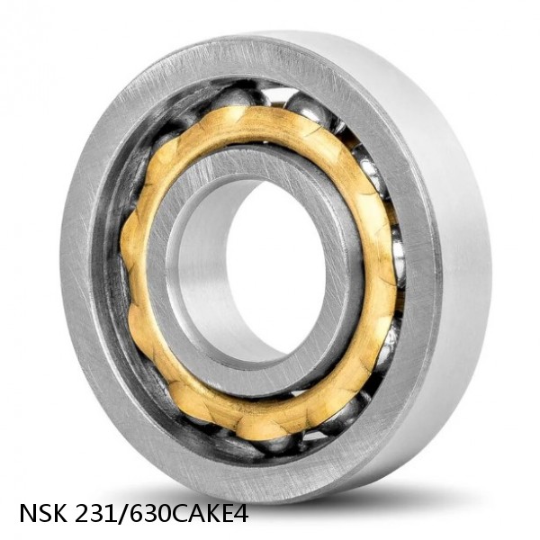 231/630CAKE4 NSK Spherical Roller Bearing