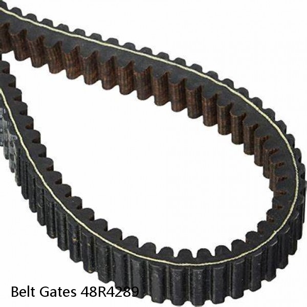 Belt Gates 48R4289